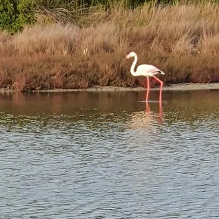 Carpe Diem 아파트 오리스타노